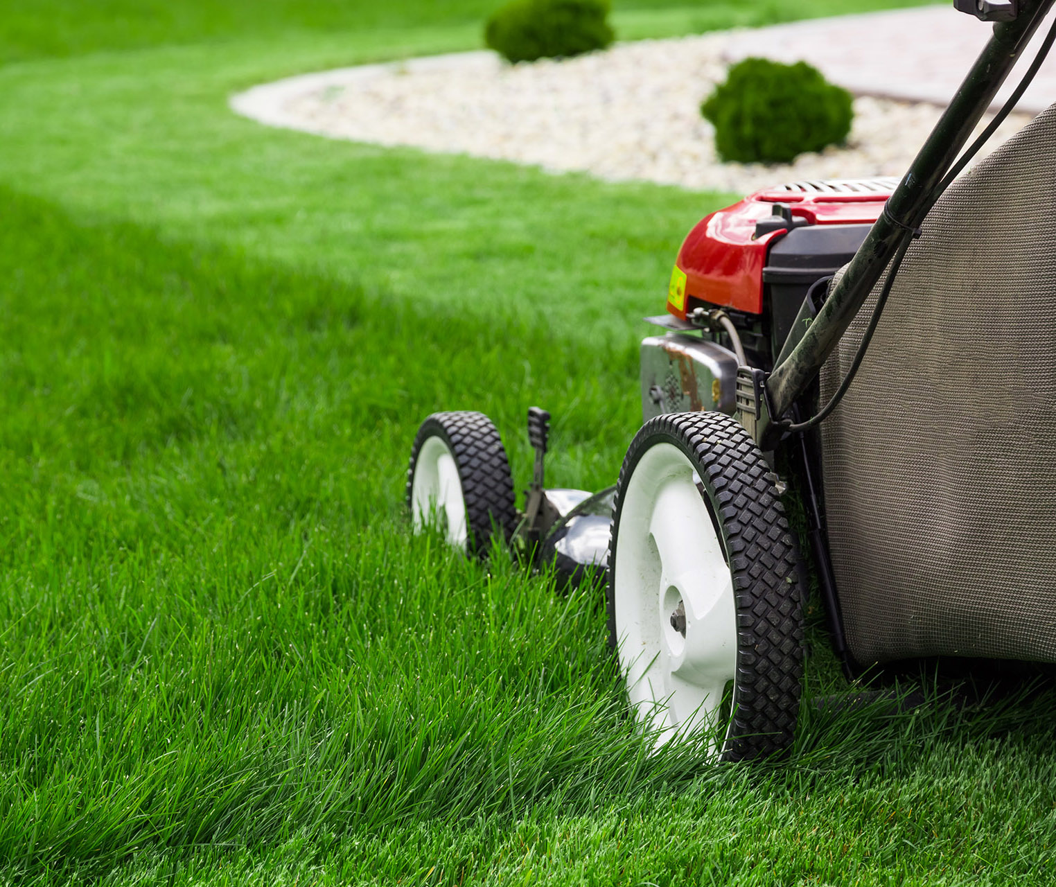 Lawn Care Landscaping